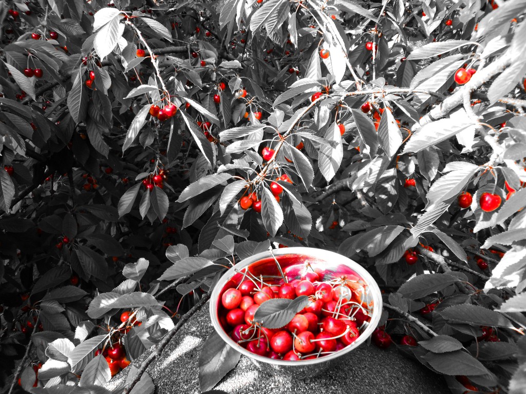 rote-pinke-kleidung-fuer-maenner-2