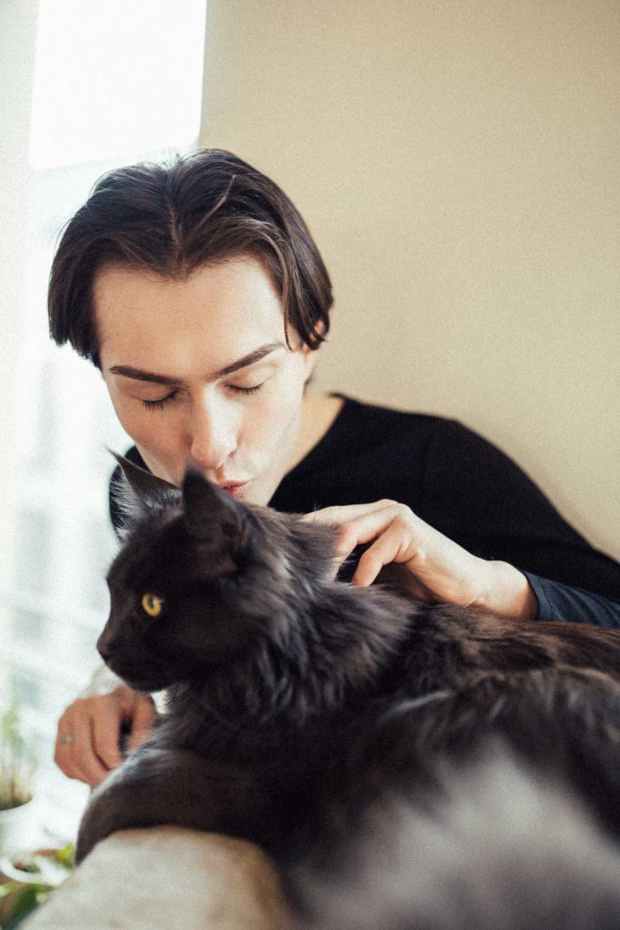 Mister Matthew küsst Kater Videl | Maine Coon Kater in grau | besonders große Katzenrasse | Leben und Tod Wochenrückblick