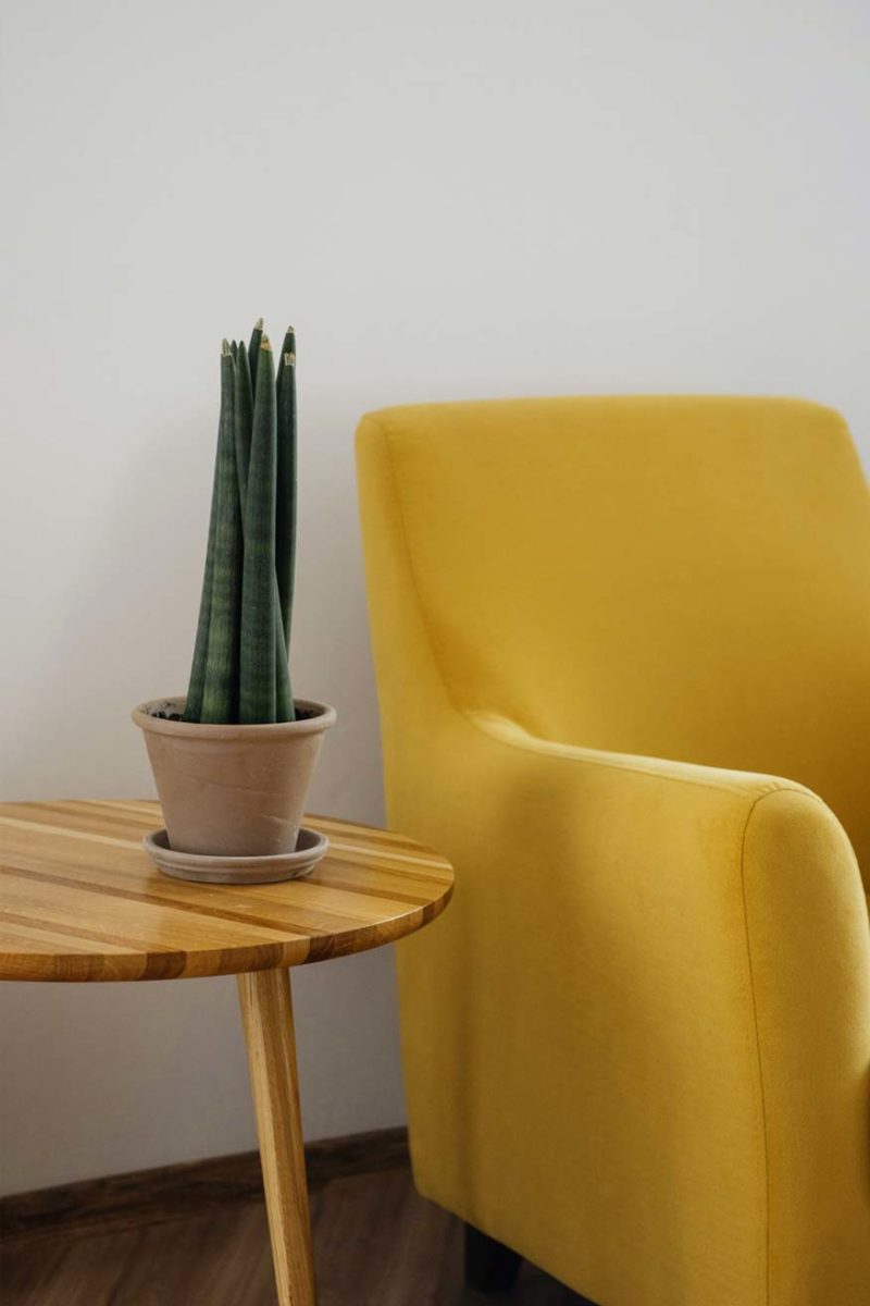 Senfgelbe Möbel: 3 Tipps für senfgelbe Möbel im Interior